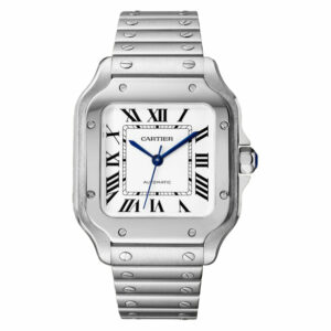 Cartier Santos Medium 35.1 mm WSSA0029 Silver Roman Dial, Worn 2025